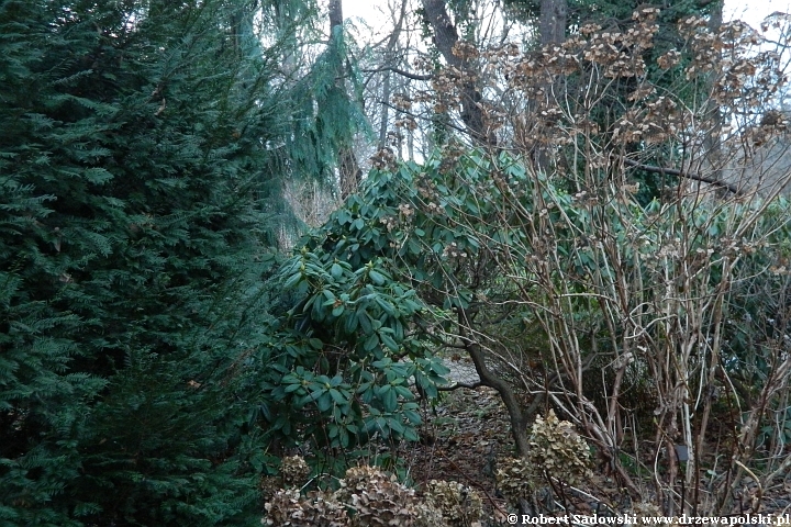 Ogród Botaniczny we Wrocławiu