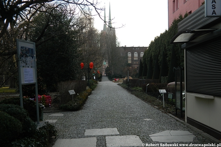 Ogród Botaniczny we Wrocławiu