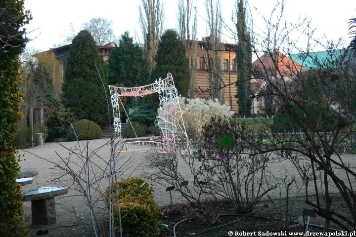 Ogród Botaniczny we Wrocławiu