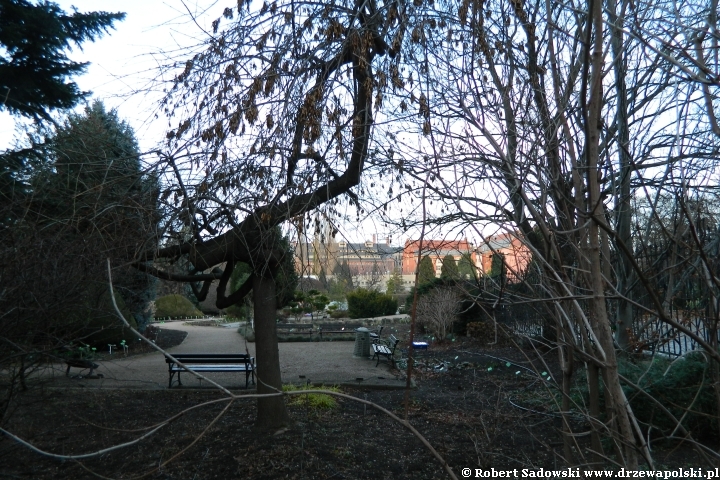 Ogród Botaniczny we Wrocławiu