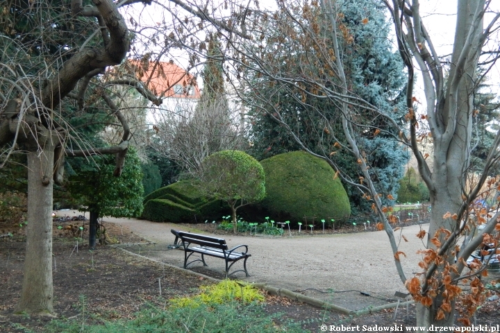 Ogród Botaniczny we Wrocławiu