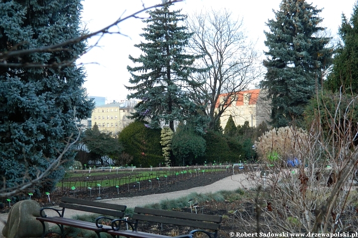 Ogród Botaniczny we Wrocławiu