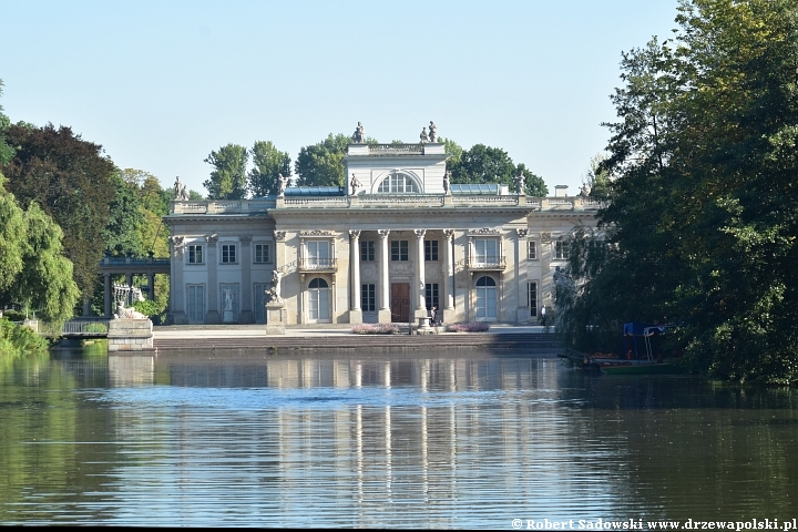 Park w Łazienkach Królewskich