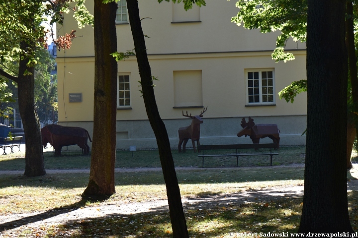 Park w Łazienkach Królewskich