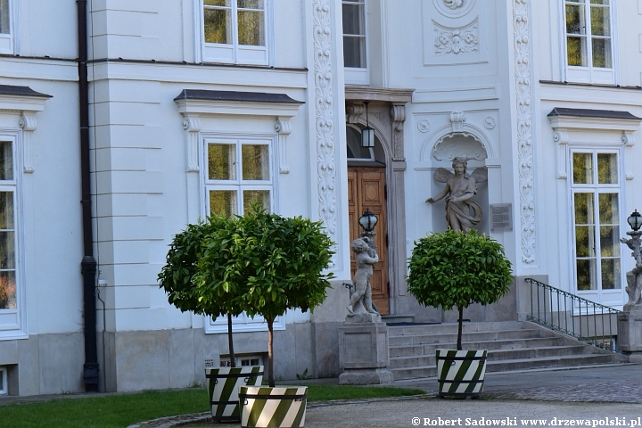 Park w Łazienkach Królewskich