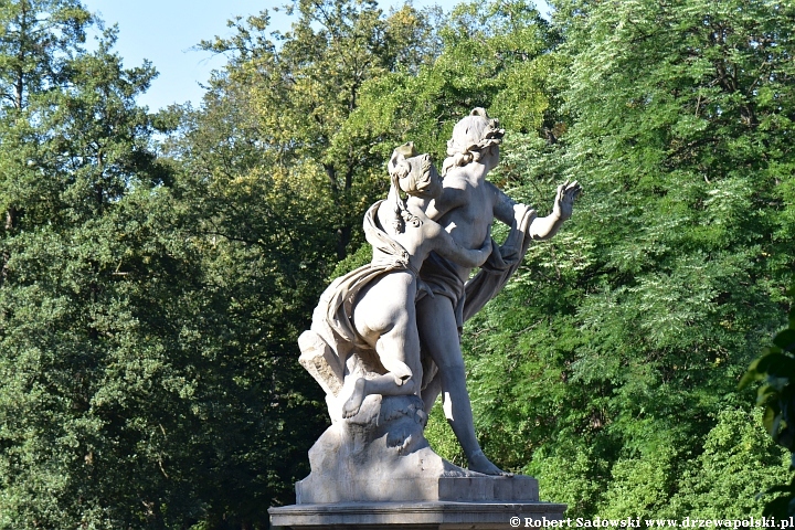 Park w Łazienkach Królewskich