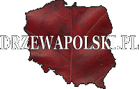 Atlas drzew Polski